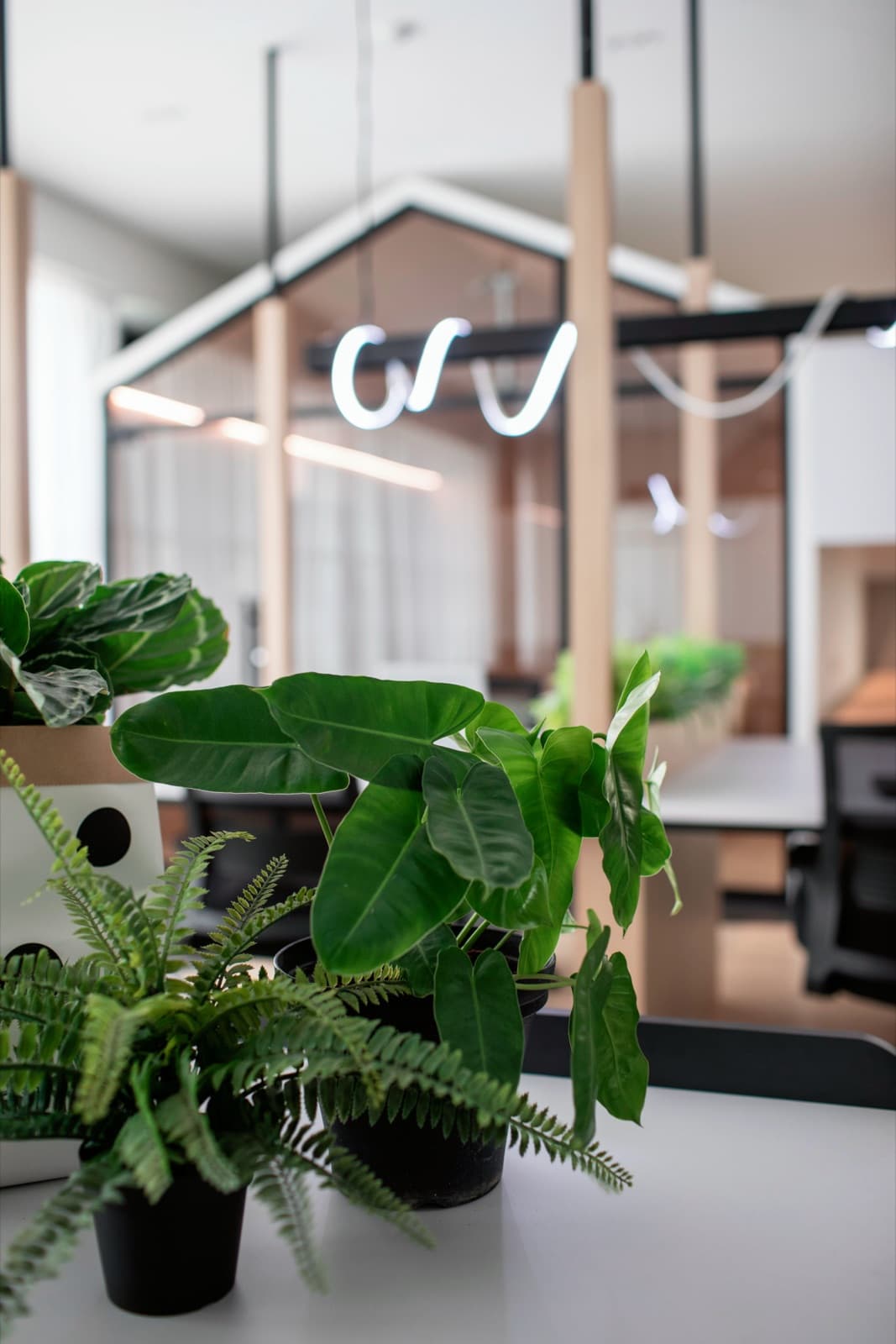 TGF Office — Workplace interior design & renovation by SPAZEHAUS in Johor Bahru, layout and flow