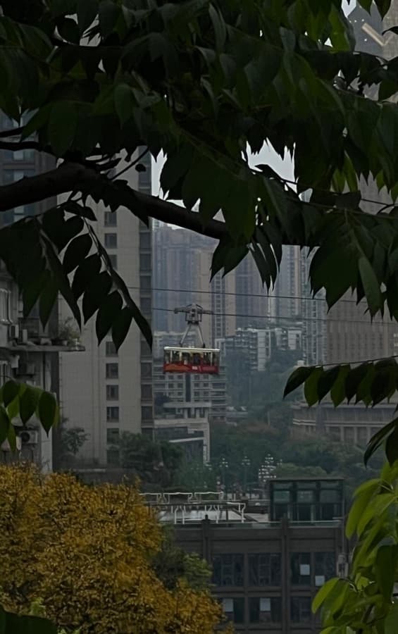 Darerca Chaw — The cable car gliding over the city