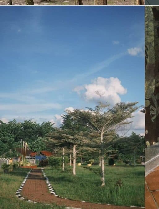 Zhi Tan — Open skies over the park