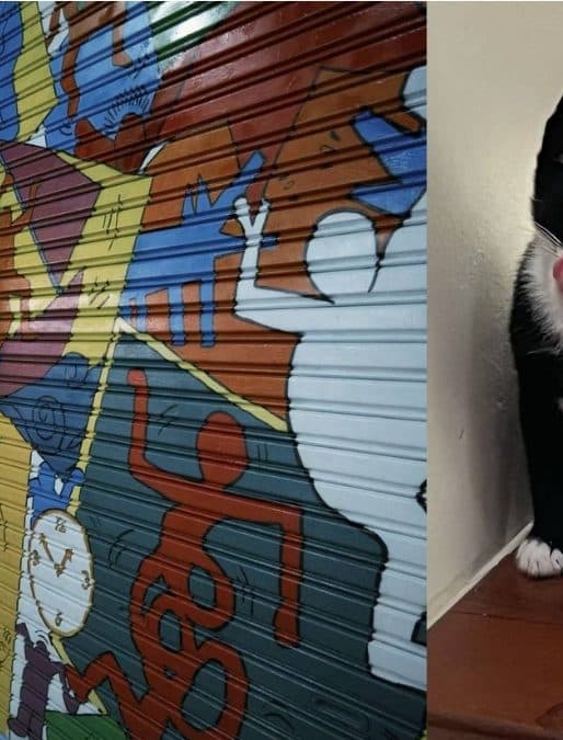 Zhi Tan — Street murals in passing