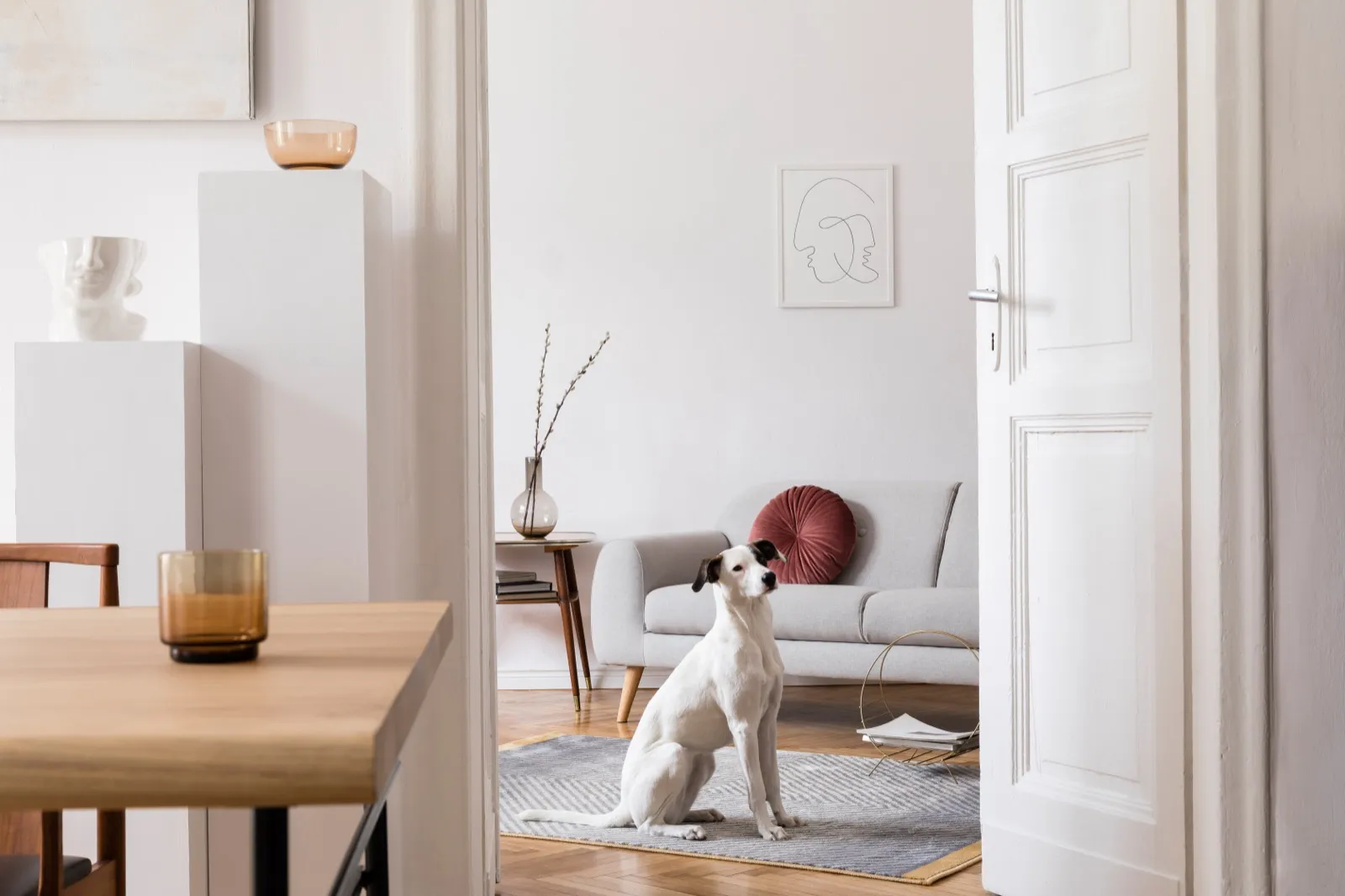Embracing Simplicity: The Aesthetics and Practicality of Minimalist Interior Design