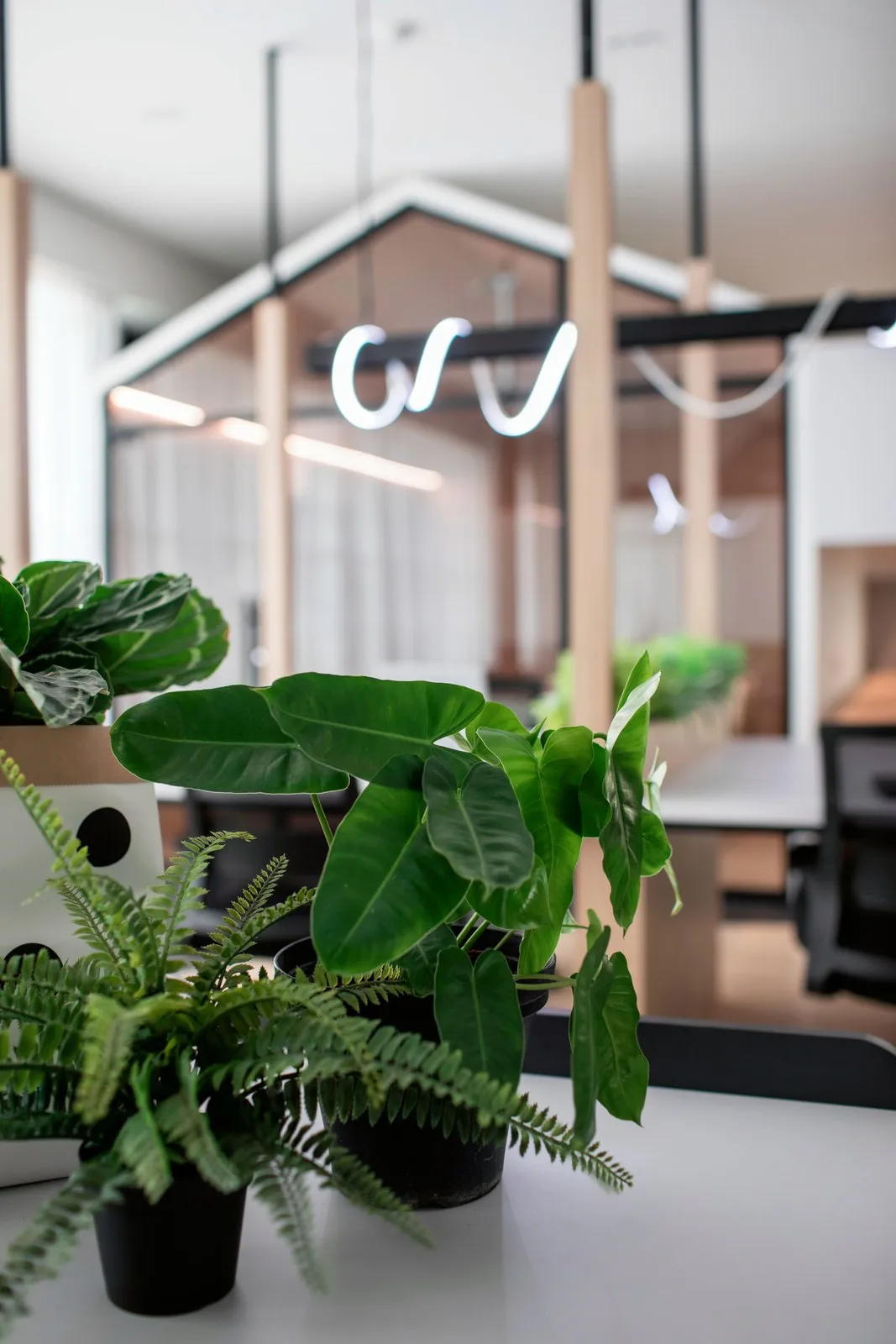 TGF Office — Workplace interior design & renovation by SPAZEHAUS in Johor Bahru, layout and flow