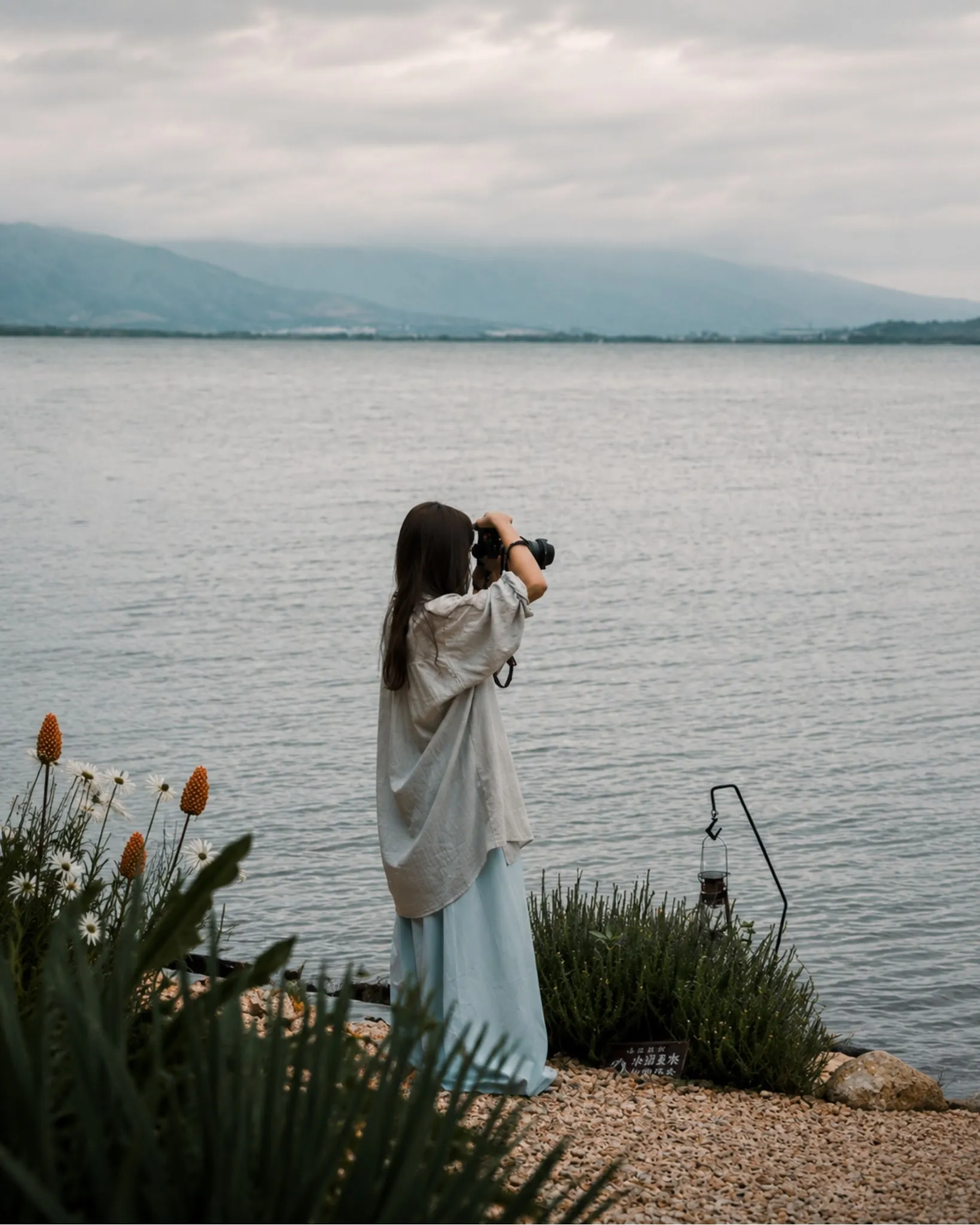 Finding Inspiration in Nature