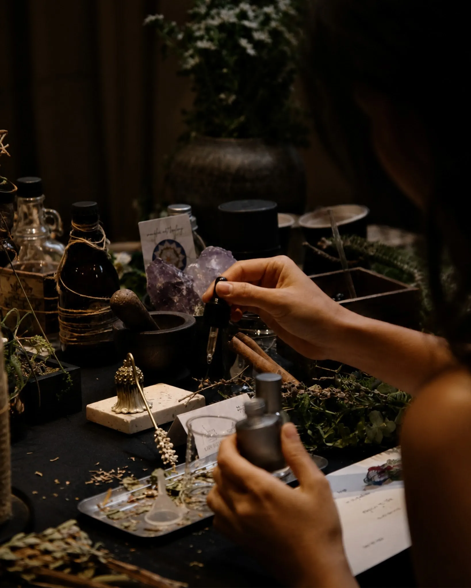 Exploring Natural Fragrances