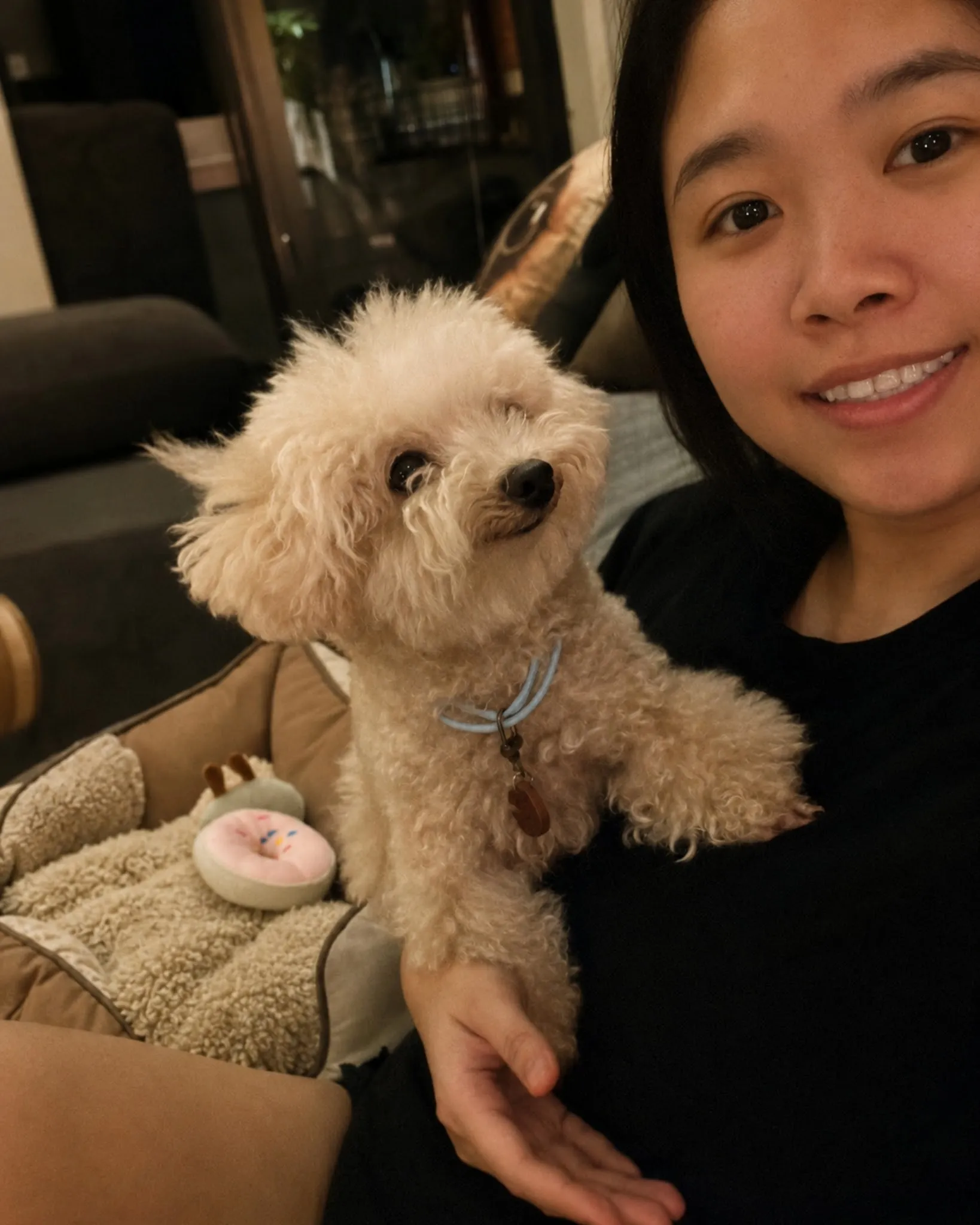 Finding Joy in Animal Companionship