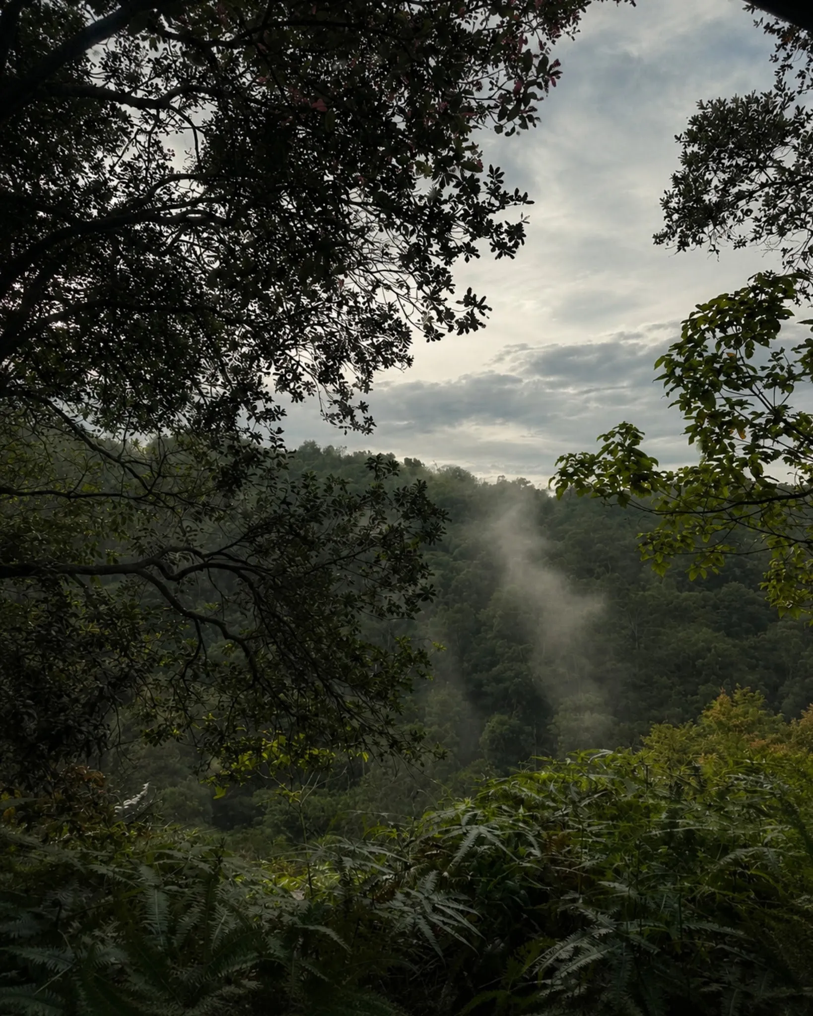 Finding Peace in Nature