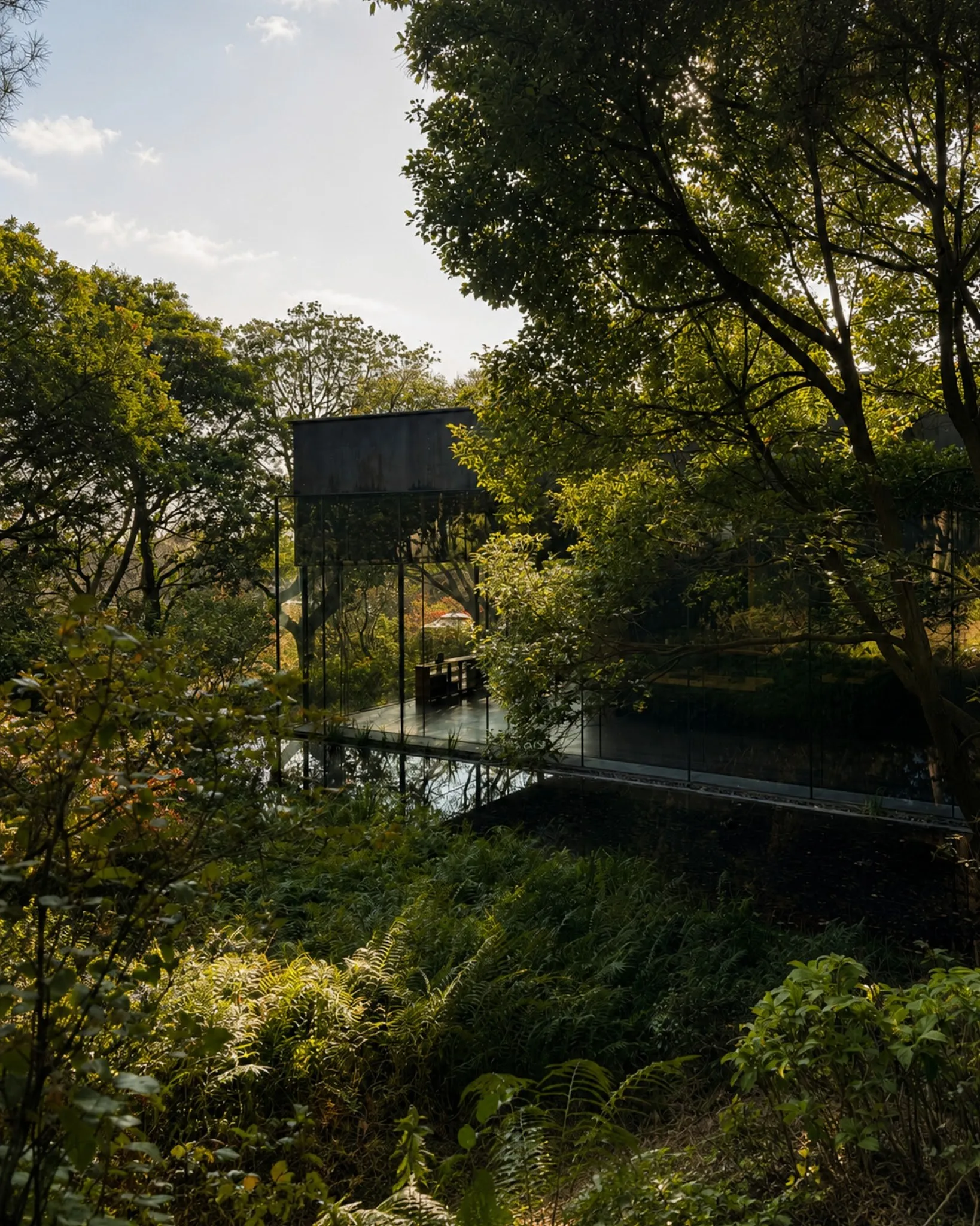 Finding Peace in Nature