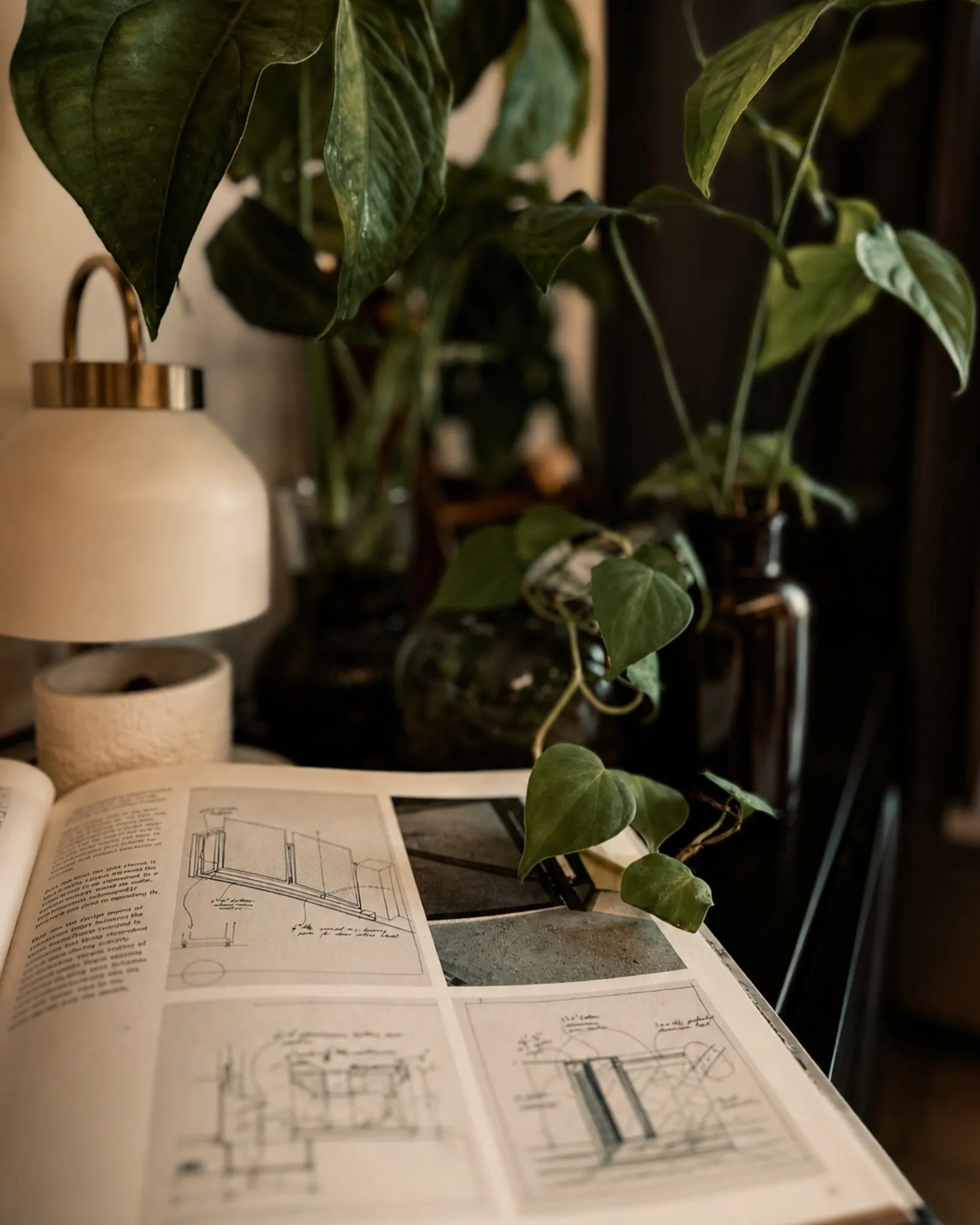 Finding Inspiration in Architecture