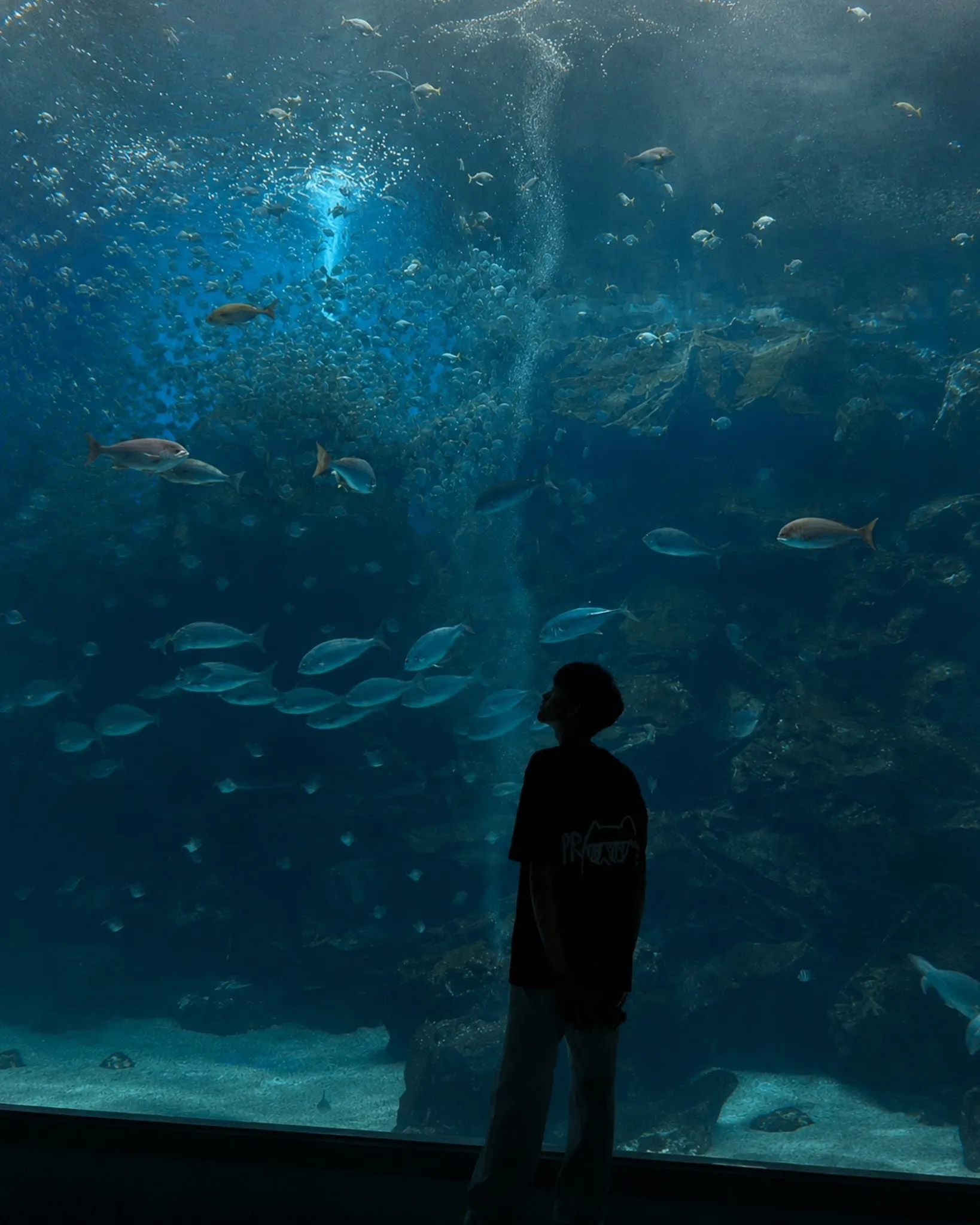 Discovering the Wonders of Nature