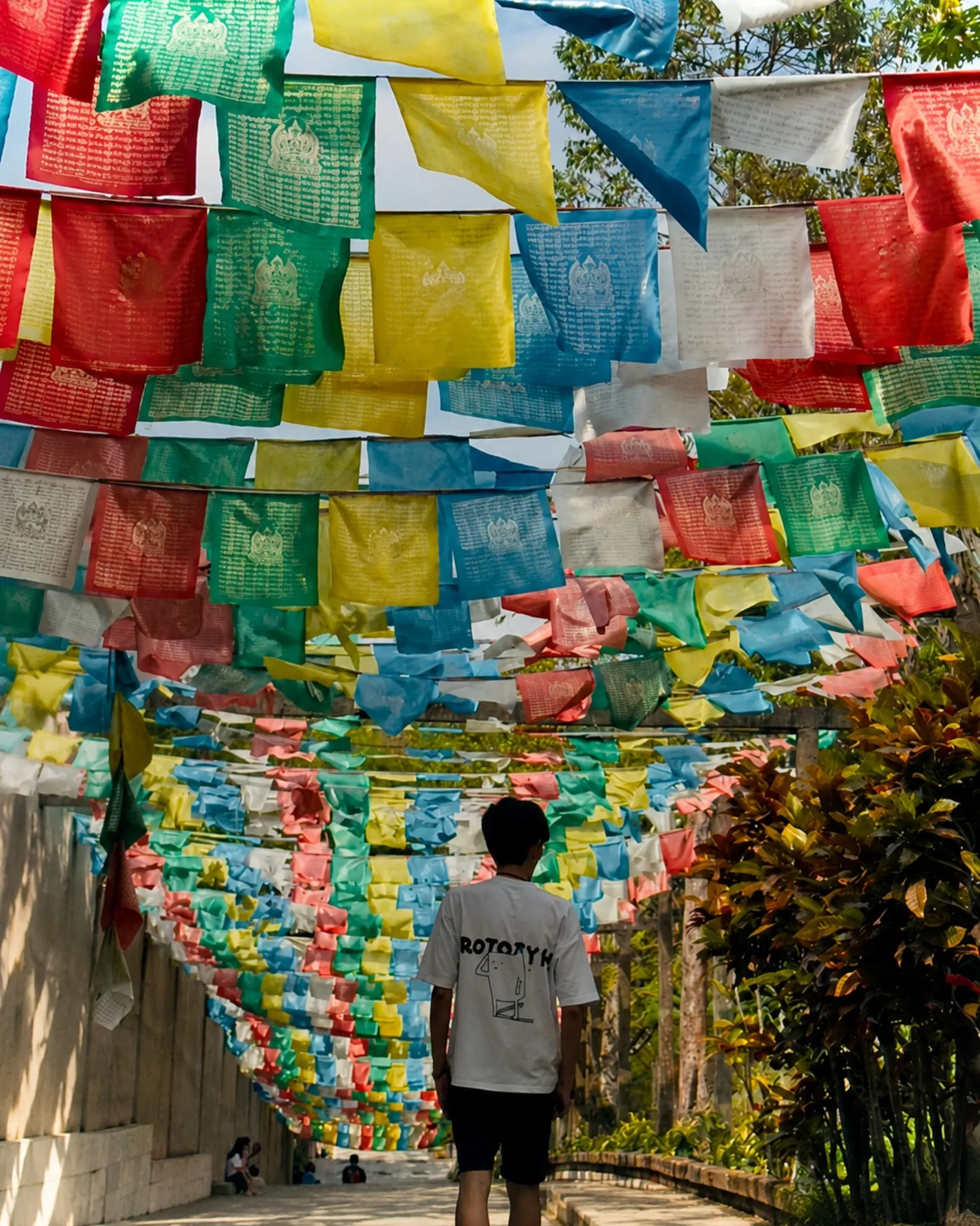 Exploring Vibrant Streets