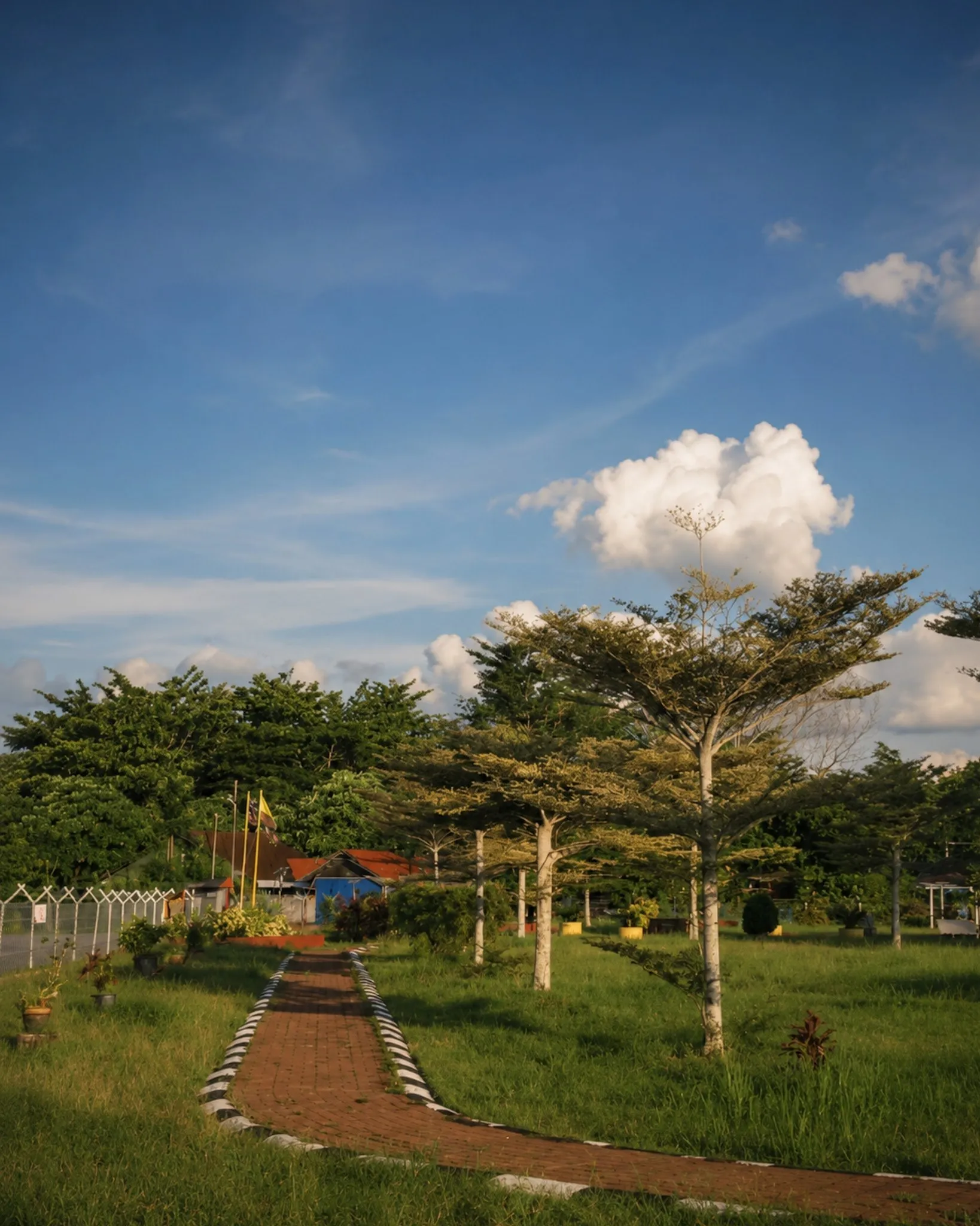 Finding Calm in Nature